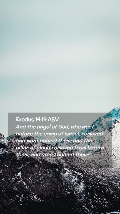 Picture 02 - Exodus 14:19 ASV Mobile Phone Wallpaper - And the angel of God, who went before the camp of - Mobile Bible Verse Wallpaper