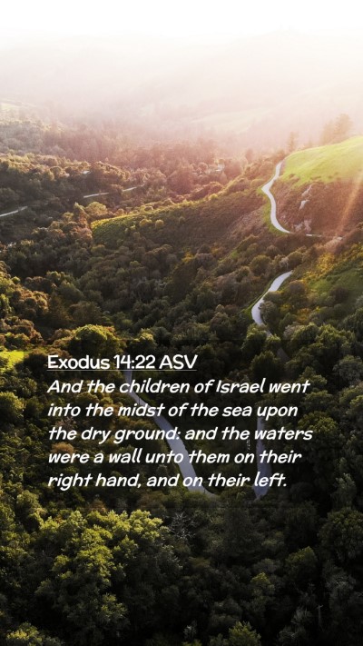 Picture 02 - Exodus 14:22 ASV Mobile Phone Wallpaper - And the children of Israel went into the midst of - Mobile Bible Verse Wallpaper