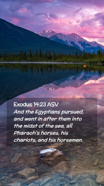 Picture 02 - Exodus 14:23 ASV Mobile Phone Wallpaper - And the Egyptians pursued, and went in after them - Mobile Bible Verse Wallpaper