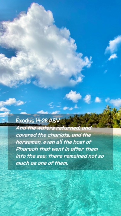 Picture 02 - Exodus 14:28 ASV Mobile Phone Wallpaper - And the waters returned, and covered the - Mobile Bible Verse Wallpaper