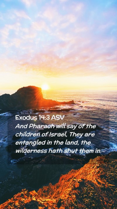 Picture 02 - Exodus 14:3 ASV Mobile Phone Wallpaper - And Pharaoh will say of the children of Israel, - Mobile Bible Verse Wallpaper