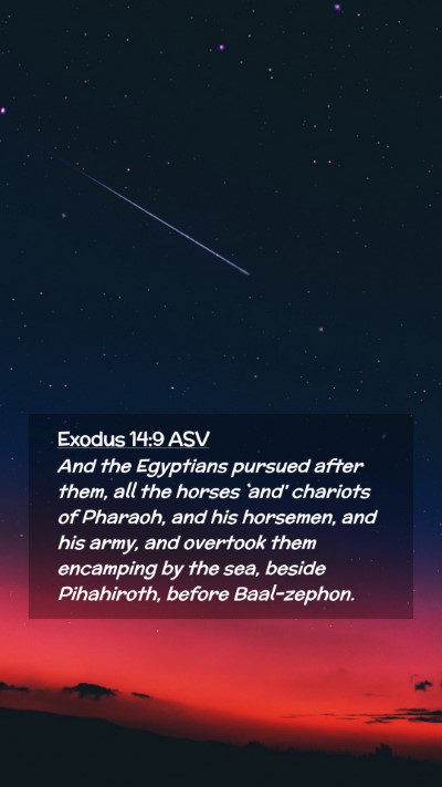 Picture 02 - Exodus 14:9 ASV Mobile Phone Wallpaper - And the Egyptians pursued after them, all the - Mobile Bible Verse Wallpaper