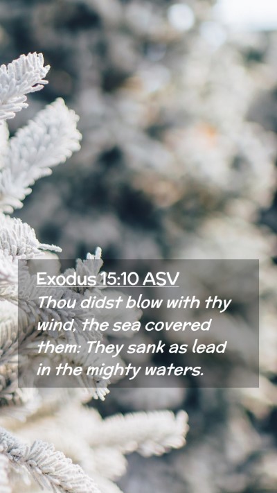 Picture 02 - Exodus 15:10 ASV Mobile Phone Wallpaper - Thou didst blow with thy wind, the sea covered - Mobile Bible Verse Wallpaper