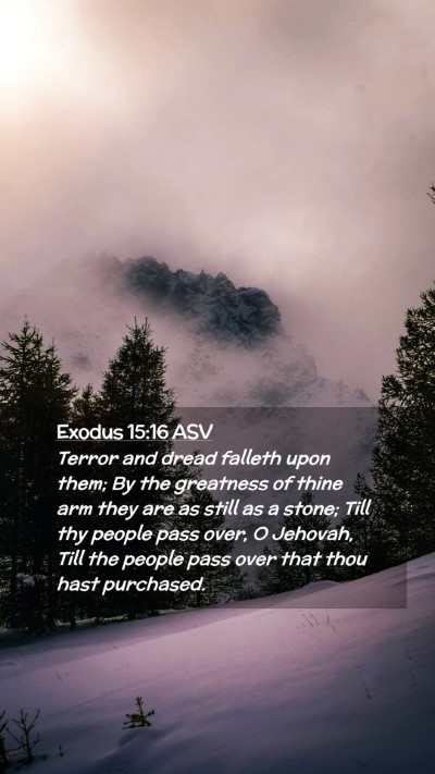 Picture 02 - Exodus 15:16 ASV Mobile Phone Wallpaper - Terror and dread falleth upon them; By the - Mobile Bible Verse Wallpaper