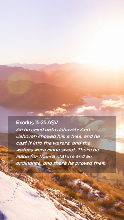 Picture 02 - Exodus 15:25 ASV Mobile Phone Wallpaper - An he cried unto Jehovah; And Jehovah showed him - Mobile Bible Verse Wallpaper