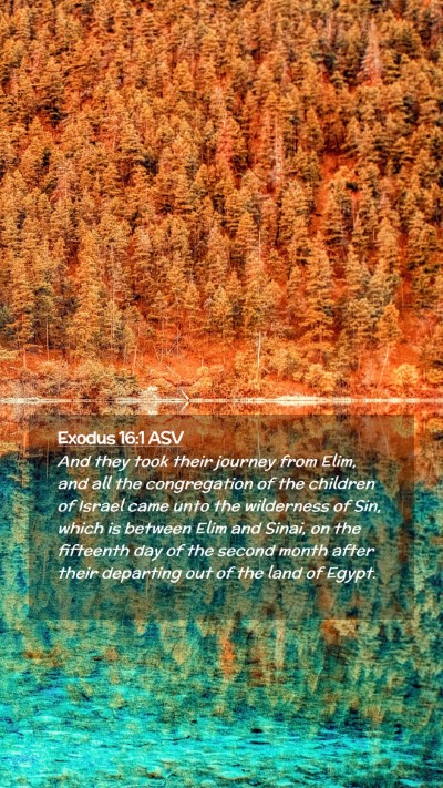 Picture 02 - Exodus 16:1 ASV Mobile Phone Wallpaper - And they took their journey from Elim, and all - Mobile Bible Verse Wallpaper