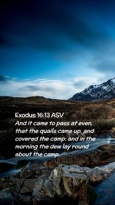 Picture 02 - Exodus 16:13 ASV Mobile Phone Wallpaper - And it came to pass at even, that the quails came - Mobile Bible Verse Wallpaper