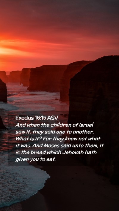 Picture 02 - Exodus 16:15 ASV Mobile Phone Wallpaper - And when the children of Israel saw it, they said - Mobile Bible Verse Wallpaper