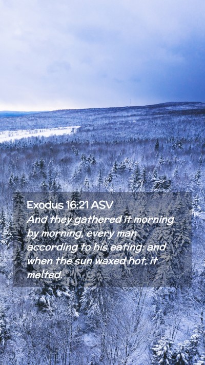 Picture 02 - Exodus 16:21 ASV Mobile Phone Wallpaper - And they gathered it morning by morning, every - Mobile Bible Verse Wallpaper