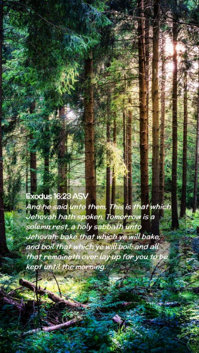 Picture 02 - Exodus 16:23 ASV Mobile Phone Wallpaper - And he said unto them, This is that which Jehovah - Mobile Bible Verse Wallpaper