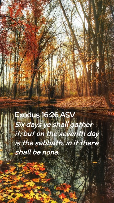 Picture 02 - Exodus 16:26 ASV Mobile Phone Wallpaper - Six days ye shall gather it; but on the seventh - Mobile Bible Verse Wallpaper