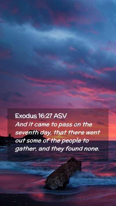 Picture 02 - Exodus 16:27 ASV Mobile Phone Wallpaper - And it came to pass on the seventh day, that - Mobile Bible Verse Wallpaper