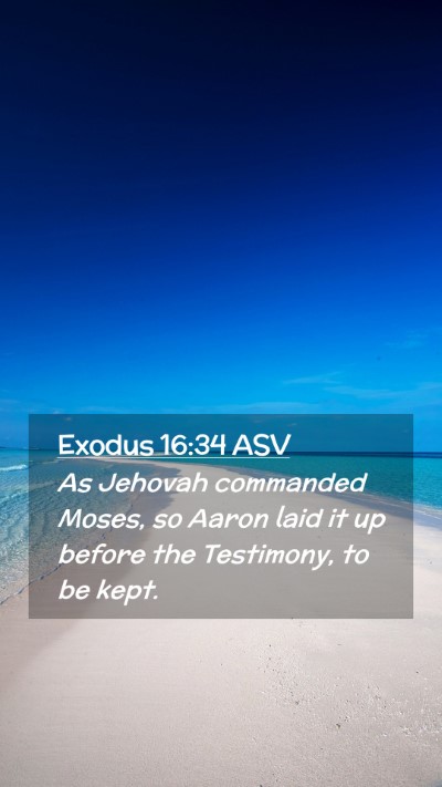 Picture 02 - Exodus 16:34 ASV Mobile Phone Wallpaper - As Jehovah commanded Moses, so Aaron laid it up - Mobile Bible Verse Wallpaper