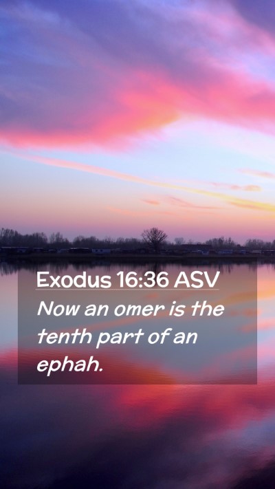 Picture 02 - Exodus 16:36 ASV Mobile Phone Wallpaper - Now an omer is the tenth part of an - Mobile Bible Verse Wallpaper