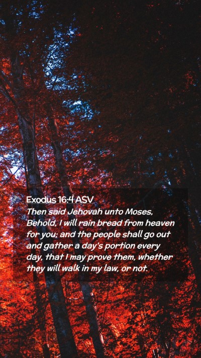 Picture 02 - Exodus 16:4 ASV Mobile Phone Wallpaper - Then said Jehovah unto Moses, Behold, I will rain - Mobile Bible Verse Wallpaper