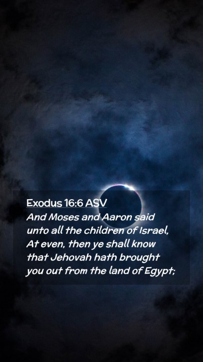 Picture 02 - Exodus 16:6 ASV Mobile Phone Wallpaper - And Moses and Aaron said unto all the children of - Mobile Bible Verse Wallpaper