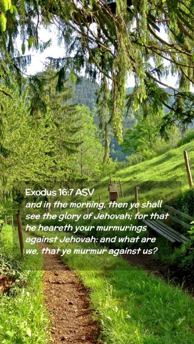Picture 02 - Exodus 16:7 ASV Mobile Phone Wallpaper - and in the morning, then ye shall see the glory - Mobile Bible Verse Wallpaper