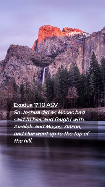 Picture 02 - Exodus 17:10 ASV Mobile Phone Wallpaper - So Joshua did as Moses had said to him, and - Mobile Bible Verse Wallpaper