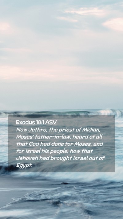 Picture 02 - Exodus 18:1 ASV Mobile Phone Wallpaper - Now Jethro, the priest of Midian, Moses' - Mobile Bible Verse Wallpaper