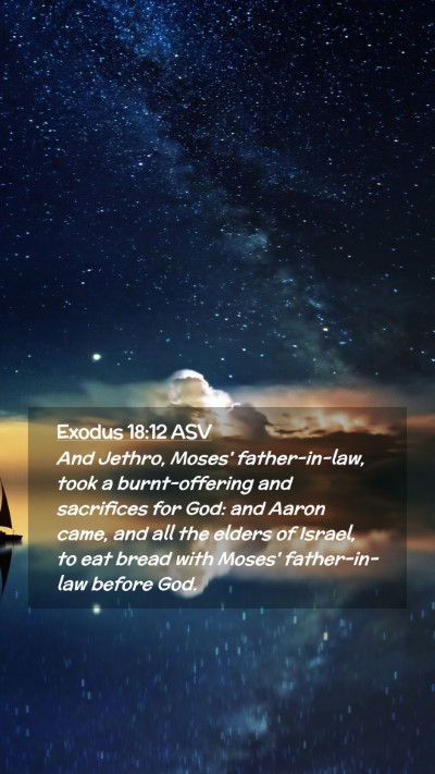 Picture 02 - Exodus 18:12 ASV Mobile Phone Wallpaper - And Jethro, Moses' father-in-law, took a - Mobile Bible Verse Wallpaper