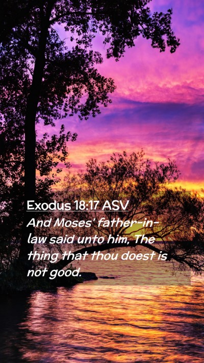 Picture 02 - Exodus 18:17 ASV Mobile Phone Wallpaper - And Moses' father-in-law said unto him, The thing - Mobile Bible Verse Wallpaper