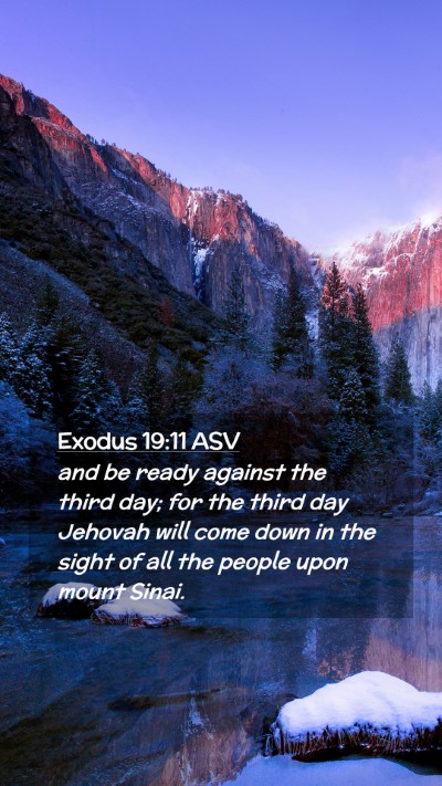 Picture 02 - Exodus 19:11 ASV Mobile Phone Wallpaper - and be ready against the third day; for the third - Mobile Bible Verse Wallpaper