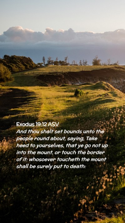 Picture 02 - Exodus 19:12 ASV Mobile Phone Wallpaper - And thou shalt set bounds unto the people round - Mobile Bible Verse Wallpaper