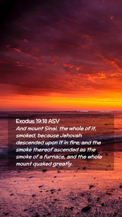 Picture 02 - Exodus 19:18 ASV Mobile Phone Wallpaper - And mount Sinai, the whole of it, smoked, because - Mobile Bible Verse Wallpaper