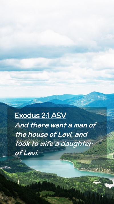 Picture 02 - Exodus 2:1 ASV Mobile Phone Wallpaper - And there went a man of the house of Levi, and - Mobile Bible Verse Wallpaper