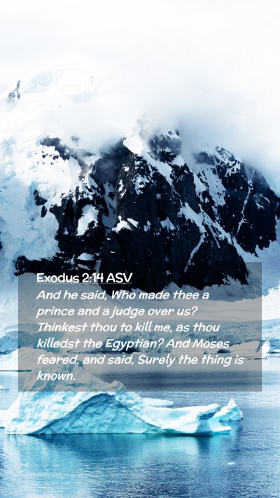 Picture 02 - Exodus 2:14 ASV Mobile Phone Wallpaper - And he said, Who made thee a prince and a judge - Mobile Bible Verse Wallpaper