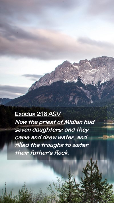 Picture 02 - Exodus 2:16 ASV Mobile Phone Wallpaper - Now the priest of Midian had seven daughters: and - Mobile Bible Verse Wallpaper