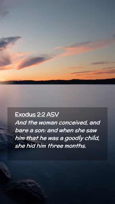 Picture 02 - Exodus 2:2 ASV Mobile Phone Wallpaper - And the woman conceived, and bare a son: and when - Mobile Bible Verse Wallpaper