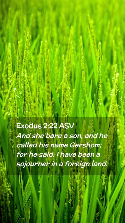 Picture 02 - Exodus 2:22 ASV Mobile Phone Wallpaper - And she bare a son, and he called his name - Mobile Bible Verse Wallpaper
