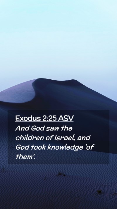 Picture 02 - Exodus 2:25 ASV Mobile Phone Wallpaper - And God saw the children of Israel, and God took - Mobile Bible Verse Wallpaper