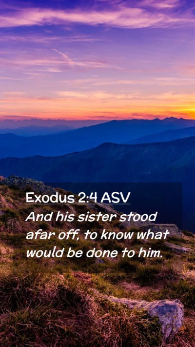 Picture 02 - Exodus 2:4 ASV Mobile Phone Wallpaper - And his sister stood afar off, to know what would - Mobile Bible Verse Wallpaper