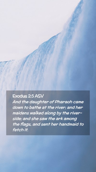 Picture 02 - Exodus 2:5 ASV Mobile Phone Wallpaper - And the daughter of Pharaoh came down to bathe at - Mobile Bible Verse Wallpaper