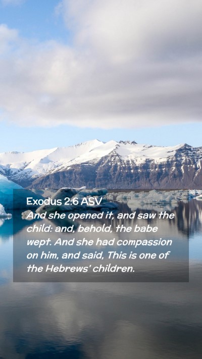 Picture 02 - Exodus 2:6 ASV Mobile Phone Wallpaper - And she opened it, and saw the child: and, - Mobile Bible Verse Wallpaper