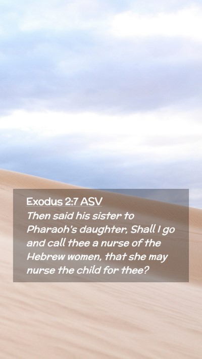 Picture 02 - Exodus 2:7 ASV Mobile Phone Wallpaper - Then said his sister to Pharaoh's daughter, Shall - Mobile Bible Verse Wallpaper