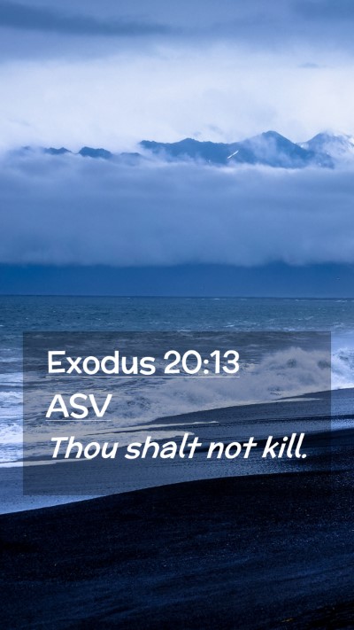 Picture 02 - Exodus 20:13 ASV Mobile Phone Wallpaper - Thou shalt not - Mobile Bible Verse Wallpaper