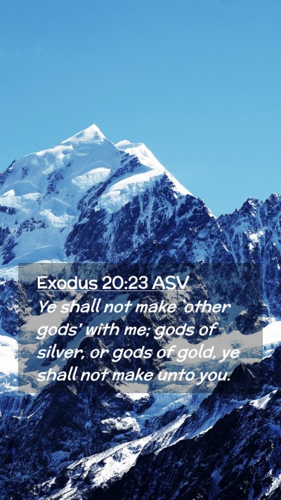 Picture 02 - Exodus 20:23 ASV Mobile Phone Wallpaper - Ye shall not make `other gods' with me; gods of - Mobile Bible Verse Wallpaper