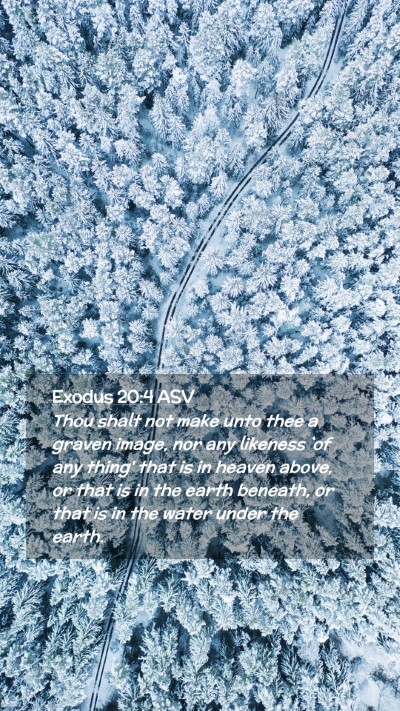 Picture 02 - Exodus 20:4 ASV Mobile Phone Wallpaper - Thou shalt not make unto thee a graven image, nor - Mobile Bible Verse Wallpaper