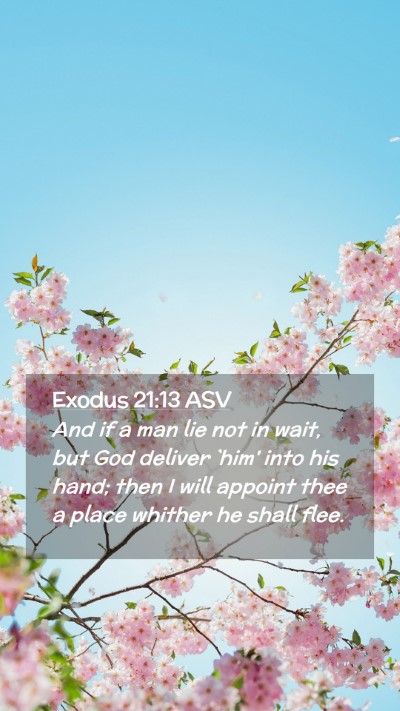 Picture 02 - Exodus 21:13 ASV Mobile Phone Wallpaper - And if a man lie not in wait, but God deliver - Mobile Bible Verse Wallpaper