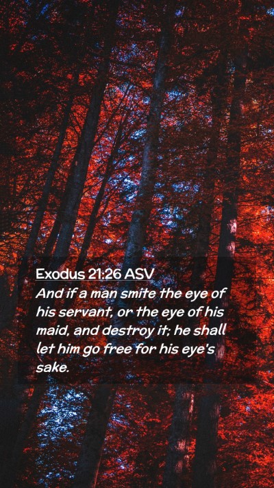 Picture 02 - Exodus 21:26 ASV Mobile Phone Wallpaper - And if a man smite the eye of his servant, or the - Mobile Bible Verse Wallpaper