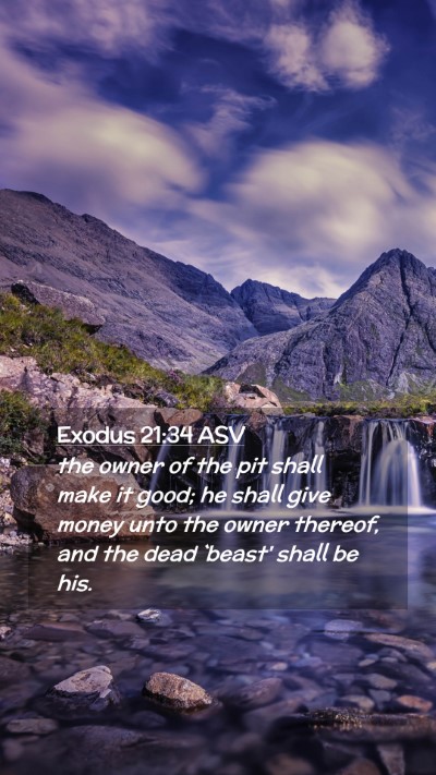 Picture 02 - Exodus 21:34 ASV Mobile Phone Wallpaper - the owner of the pit shall make it good; he shall - Mobile Bible Verse Wallpaper