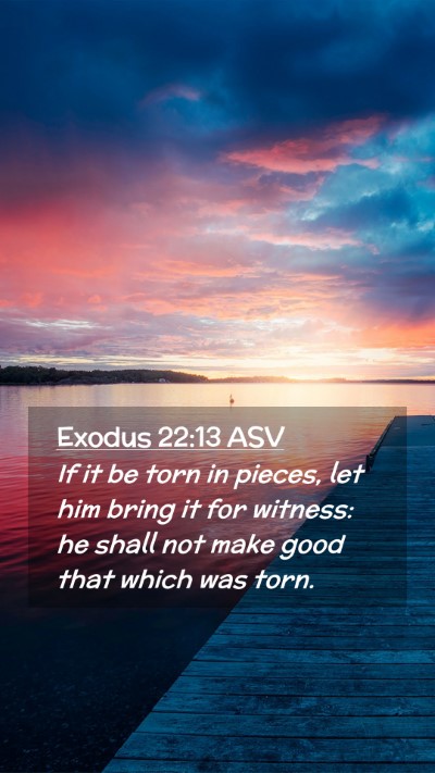 Picture 02 - Exodus 22:13 ASV Mobile Phone Wallpaper - If it be torn in pieces, let him bring it for - Mobile Bible Verse Wallpaper