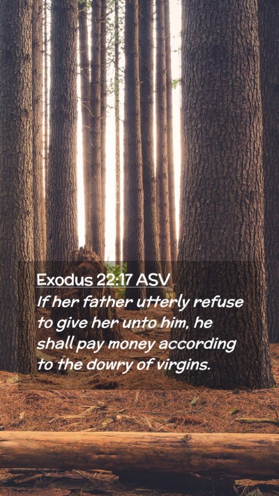 Picture 02 - Exodus 22:17 ASV Mobile Phone Wallpaper - If her father utterly refuse to give her unto - Mobile Bible Verse Wallpaper