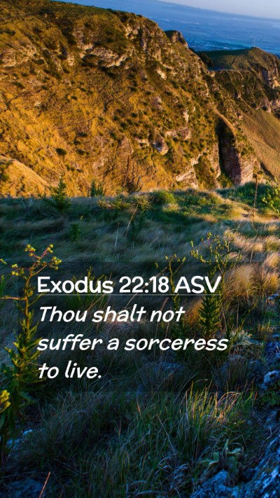 Picture 02 - Exodus 22:18 ASV Mobile Phone Wallpaper - Thou shalt not suffer a sorceress to - Mobile Bible Verse Wallpaper