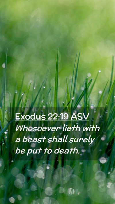 Picture 02 - Exodus 22:19 ASV Mobile Phone Wallpaper - Whosoever lieth with a beast shall surely be put - Mobile Bible Verse Wallpaper
