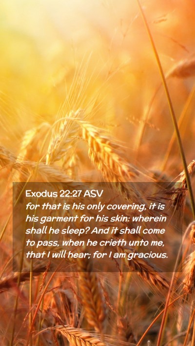 Picture 02 - Exodus 22:27 ASV Mobile Phone Wallpaper - for that is his only covering, it is his garment - Mobile Bible Verse Wallpaper