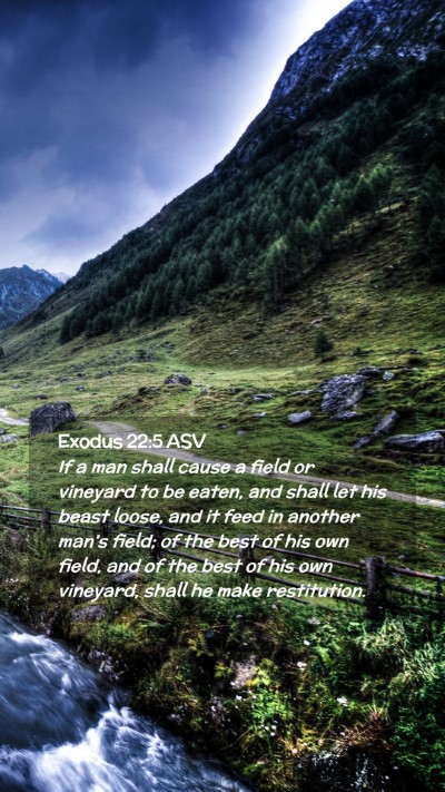 Picture 02 - Exodus 22:5 ASV Mobile Phone Wallpaper - If a man shall cause a field or vineyard to be - Mobile Bible Verse Wallpaper